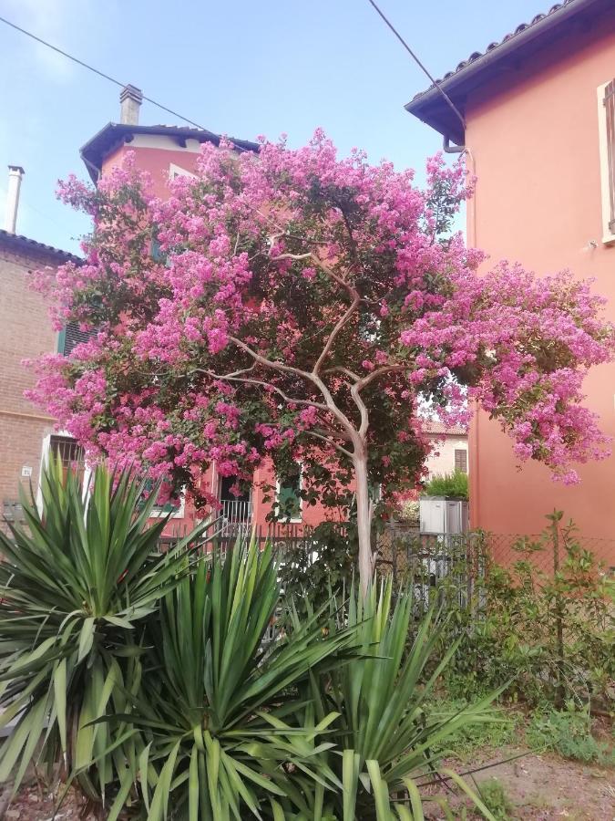 Grigio Perla Panigale, Villetta Con Giardino E Parcheggio Privato Fino A Tre Posti Auto - Un Oasi Di Tranqullita Boloňa Exteriér fotografie